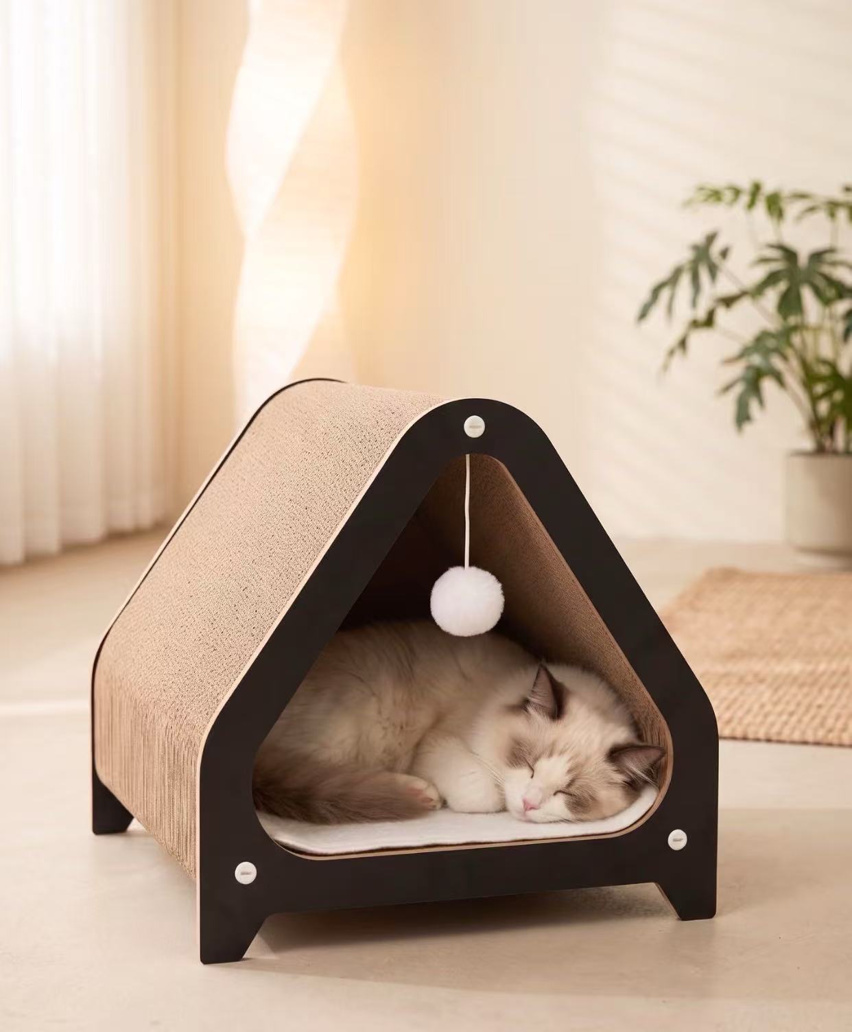 猫猫柜
